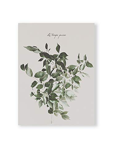 MILUKA Láminas Decorativas para enmarcar colección FEUILLES (láminas Hojas Verdes) | Varios Tamaños - Le Temps Passe (30 x 40 cm)