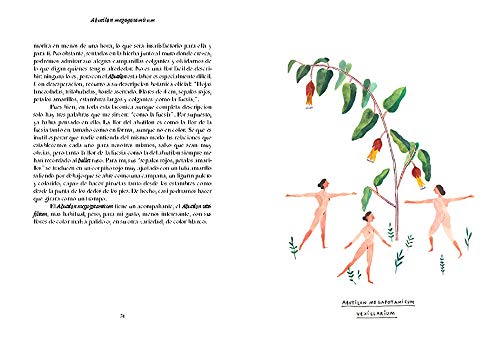 Mis flores: Las 25 flores más singulares y bellas del jardín de la novelista inglesa