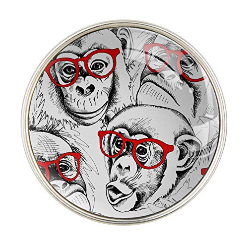 Monkey Portraits Gafas de perfume para coche, ambientador de aire, clip de ventilación, fragancia de coche, ambientador de perfume difusor (plateado)