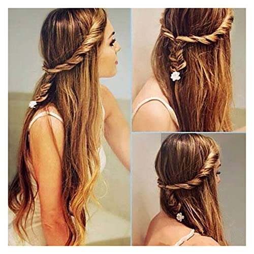 Mujer Flor Clip De Pelo Novia Estilista Cola Twist Plait Pelo Trenzado Bricolaje Peinado Peinado Estilo De Pelo Accesorio Shiny (Color : Black)