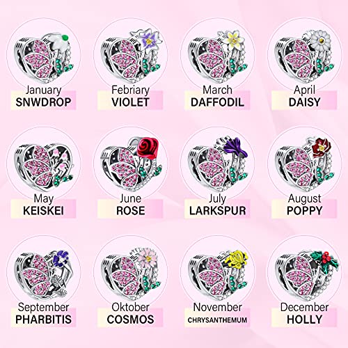 NINGAN May-Lily of the Valley Abalorios Charms Colgantes de Encanto familia eterna Cuentas Plata de Ley 925 con Compatible con Pulsera Pandora & Europeo, Charms para Mujer Niña