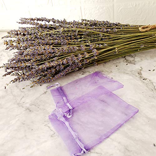 Paquetes de lavanda seca en total 200 tallos frescas flores de lavanda naturales para bricolaje boda decoración del hogar