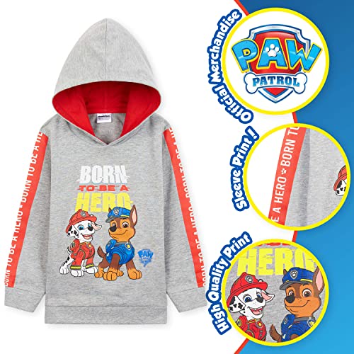 Paw Patrol Sudadera Niño con Capucha de 2 - 6 Años, La Patrulla Canina Ropa (2-3 Años, Gris)