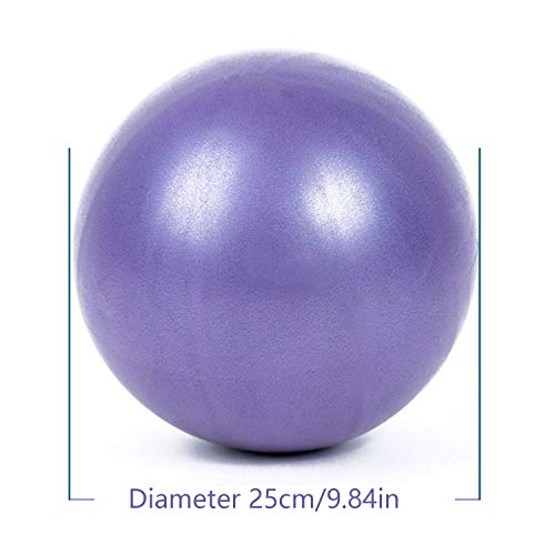 Pelota de Pilates de Yoga de 25 cm, 2 Pelotas de Ejercicio Pequeñas, Mini Pelota de Pilates Suave Antideslizante para Gimnasio, Yoga, Masaje y Pilates en Casa (Púrpura y Rosado)