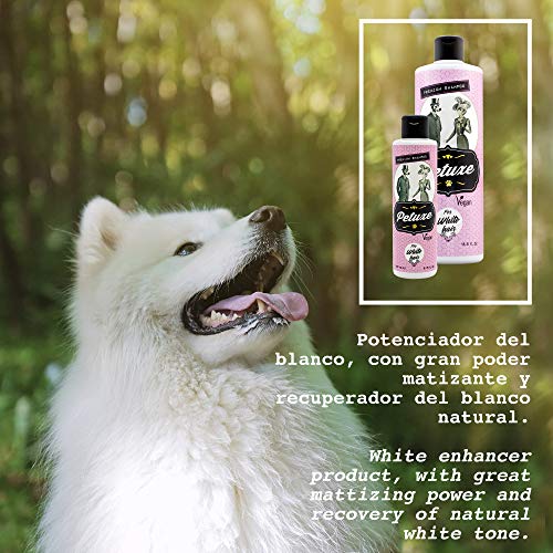 Petuxe Champú para Mascotas de Pelo Blanco. Champú Vegano para Perros y Gatos. Aloe Vera ecológico. Potenciador Color Blanco Natural - 200 ml