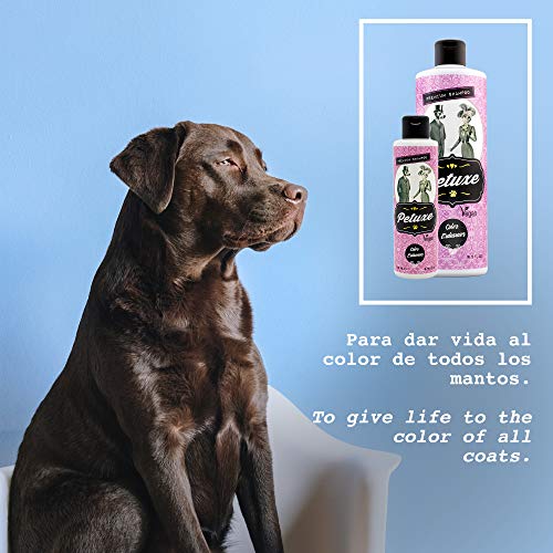 Petuxe Champú Vegano potenciador del Color. Champú Vegano Perros. Champú Mascotas. Todas Las Razas. Lavante, hidratante y vitalizante. Aceite de Oliva ecológico (200 ml)