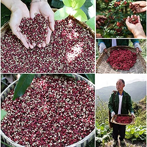Queenbox 14.1 oz de Granos de Pimienta roja Szechuan, condimento Natural Chino seco Huajiao, aderezos picantes de Sabor Fuerte para Salsa de Aceite de Pimienta, Olla Picante