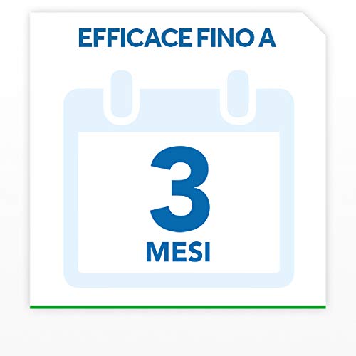 Raid Cebo para cucarachas – 6 piezas