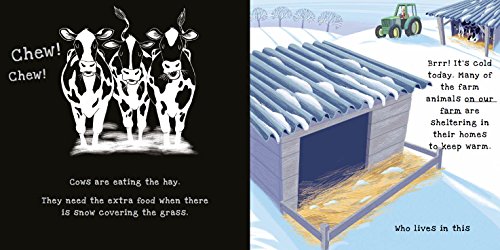 Shine a Light: On the Farm: A shine-a-light book