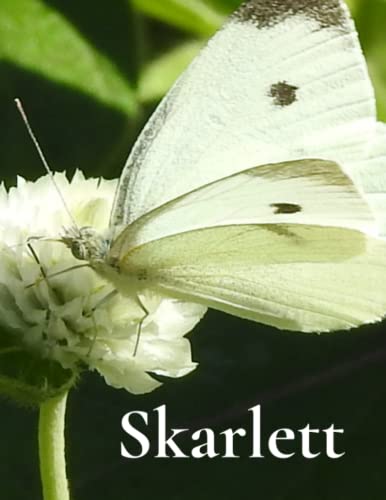 Skarlett Notebook