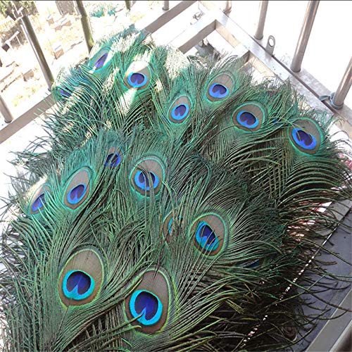 Venta al por mayor 100 Unids/lote Plumas de pavo real reales naturales para artesanías Floreros Decoración de ropa Plumas Carnaval Accesorios de boda Decoración-70-80CM 28-32 pulgadas