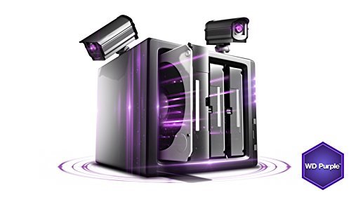 WD Purple - Disco rigido interno 1 TB Videosorveglianza 3.5", Allframe 4K - 180 TB/anno, cache 64 MB, Classe 5.400 RPM