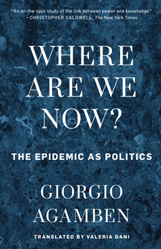 Where Are We Now?: The Epidemic as Politics