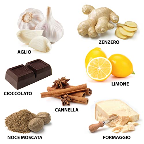 Worldtrade Rallador para queso trigo parmigiano, zester para limón, nuez moscada, jengibre, chocolate, alfiler, verduras, fruta de acero inoxidable lavable en lavavajillas, hoja de arena fina y gruesa