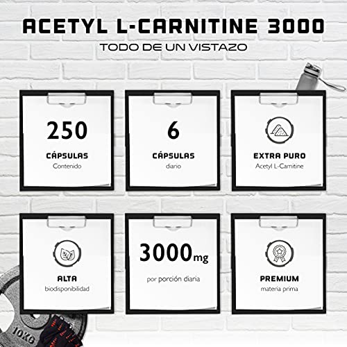 Acetil L-Carnitina 3000 con 250 cápsulas - 3000 mg por porción diaria - Premium: L-Carnitina en forma de acetilo - Altamente dosificada - Vegano