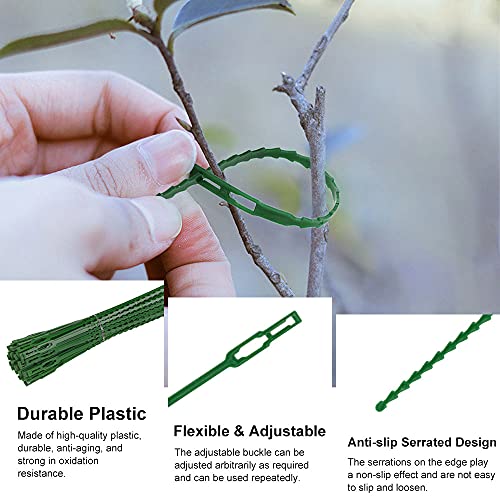 AFASOES 220 Pcs Bridas para Plantas Bridas Verdes Exterior Jardineria Bridas Verdes Largas 13cm/17cm/23cm Bridas para Atar Tomates Bridas de Plástico para Sujetar Plantas Tomateras Trepadoras