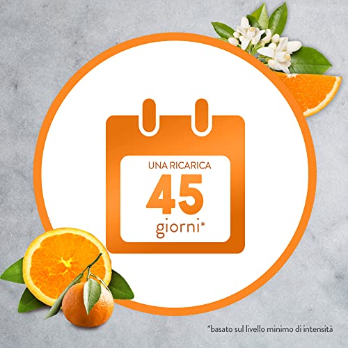 Air Wick Difusor de aceites esenciales Paquete con 1 ambientador, 1 recarga fragancia y 3 pilas