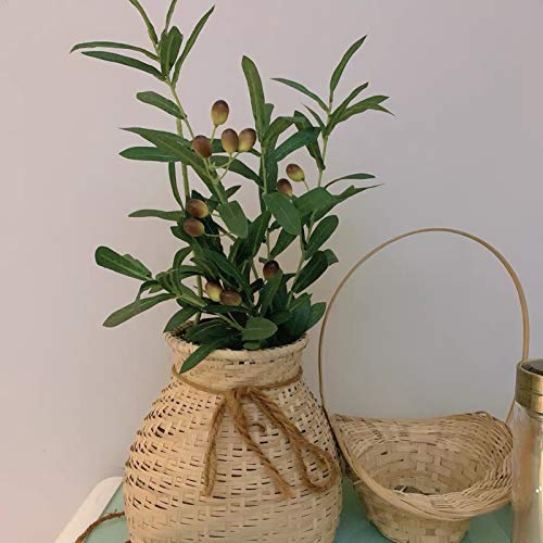 AIVORIUY 2 Piezas Hoja de Olivo Artificial, Ramas de Olivo Plantas Artificiales, Rama con Frutas Olivo Falsa Decoracion de Casa Hojas Falsas Ramas Frutas Plantas Verdes Hogar Accesorios de Fotografía