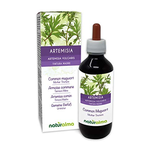 Artemisa común (Artemisia vulgaris) hierba con flores Tintura Madre sin alcohol Naturalma | Extracto líquido gotas 200 ml | Complemento alimenticio | Vegano