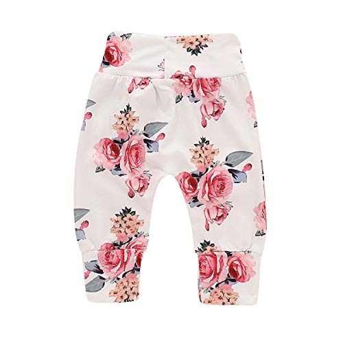 Bebé recién Nacido de Manga Larga con Capucha Floral Sudadera Tops + Pantalones Ropa Trajes (0-3 Meses, Blanco)