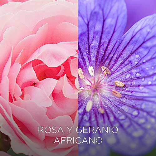 Botanica de Air Wick - Recambios De Ambientador Eléctrico, Esencia Para Casa Con Aroma A Rosa y Geranio Africano