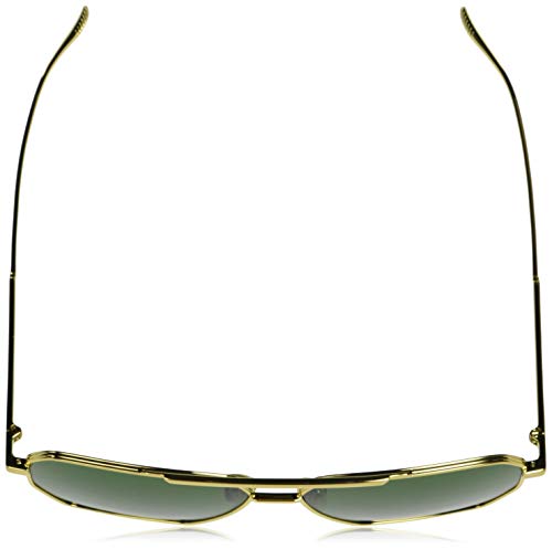 Bottega Veneta Gafas de Sol BV1012S GOLD/GREEN 60/13/145 hombre