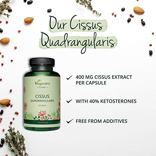 Cissus Vegavero® | Con la Mayor Concentración de Ketosteronas: 40% | Sin Gelatina Animal | 120 Cápsulas | Anabolizantes Esteroides Naturales + Articulaciones y Huesos | Ayurveda