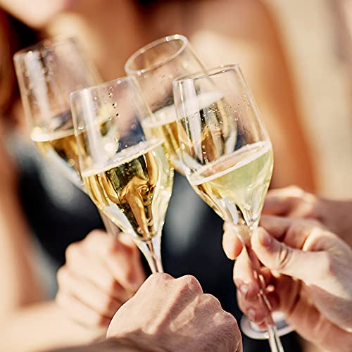 Codorníu Prima Vides - Cava Brut - 75cl