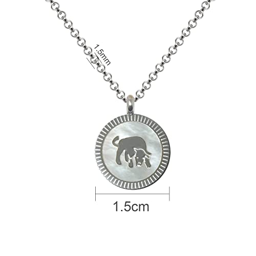 cotigo Collar Zodiaco Acero Inoxidable con Nácar hermosa Tarjeta Significado Signo Zodiacal Colgante Horóscopo Tauro Para mujer o Hombre Regalo Cumpleaños Día de madre San Valentín (Tauro)