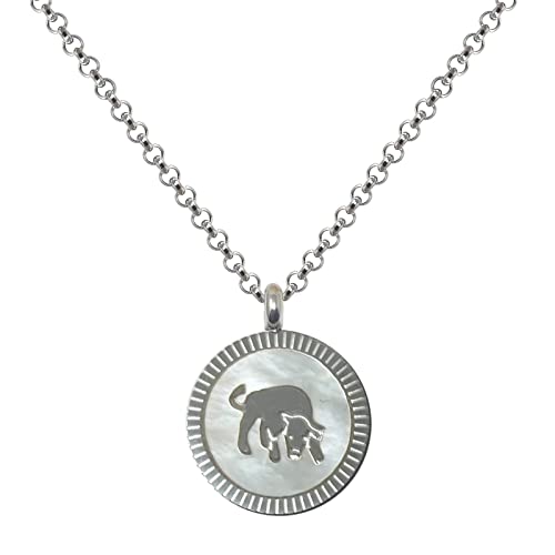 cotigo Collar Zodiaco Acero Inoxidable con Nácar hermosa Tarjeta Significado Signo Zodiacal Colgante Horóscopo Tauro Para mujer o Hombre Regalo Cumpleaños Día de madre San Valentín (Tauro)