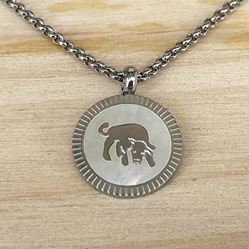 cotigo Collar Zodiaco Acero Inoxidable con Nácar hermosa Tarjeta Significado Signo Zodiacal Colgante Horóscopo Tauro Para mujer o Hombre Regalo Cumpleaños Día de madre San Valentín (Tauro)