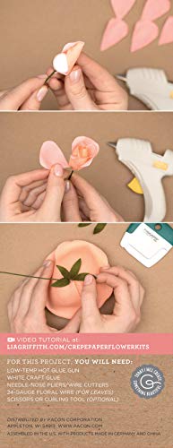 Crepe Flower Kit Rose Rose, Papel, Colores Variados, 32 cm