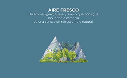 CRISTALINAS Ambientador Mikado Absorbe olores Mascotas. 0% Alcohol, 12 Semanas de duración. Aroma (Aire Fresco)