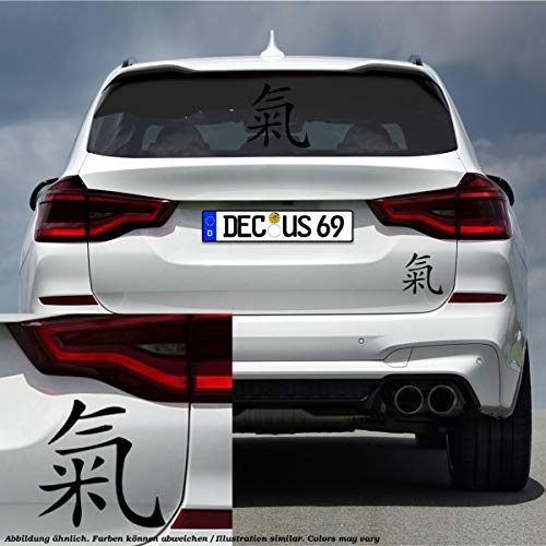 Decus Pegatina de la Marca Energie Japan L 1793