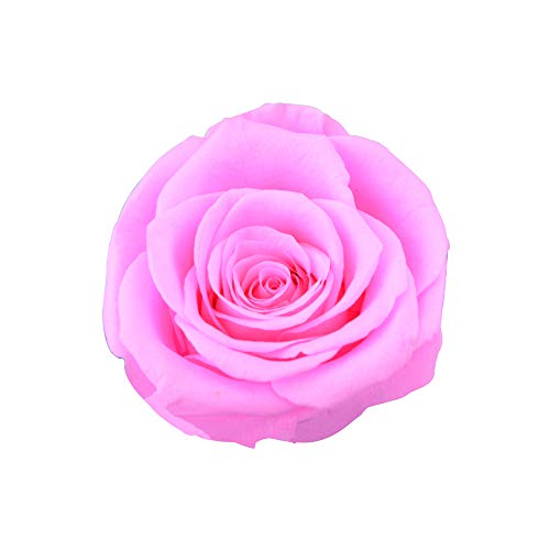 Dewanxin Rosa Eterna,Rosa Natural Preservada,para Decoración del Hogar Boda San Valentín Día de la Madre Navidad Aniversario Cumpleaños - Roja (Pink)