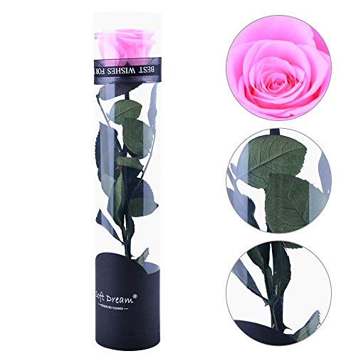Dewanxin Rosa Eterna,Rosa Natural Preservada,para Decoración del Hogar Boda San Valentín Día de la Madre Navidad Aniversario Cumpleaños - Roja (Pink)