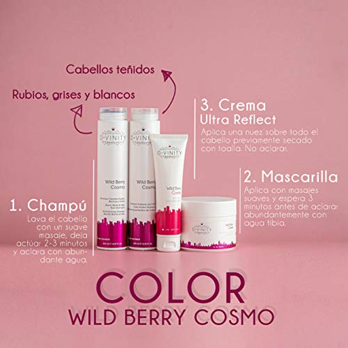 D.VINITY Wild Berry - Mascarilla de Pelo Protectora, Cabello Teñido o Decolorado, Repara y Protege, Potencia el Color y Brillo, 500ml