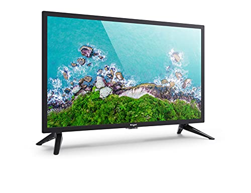Engel EVERLED - Televisor de 24" FULL HD (USB, PVR, OCA, modo hotel), color negro