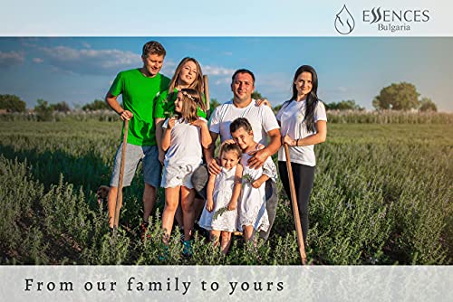 Essences Bulgaria Aceite Esencial de Lavanda Orgánica, 100% Natural, Máxima Calidad de Nuestra Propia Empresa familiar, Para Sus Propios Cosméticos, Lociones etc. (10 ml)