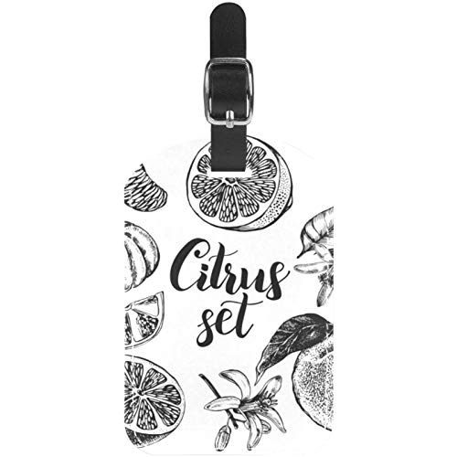 Etiquetas para equipaje de piel con tinta de frutas cítricas para pintura de viaje, 1 paquete