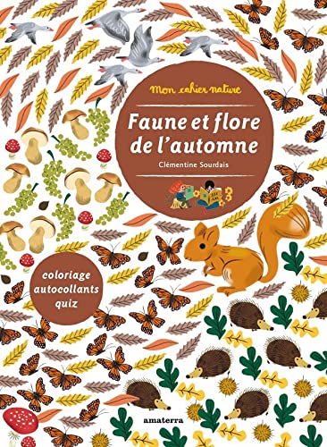 Faune et flore de l'automne (MON CAHIER NATURE)