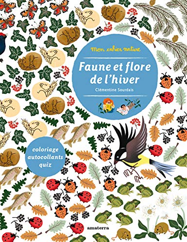 Faune et flore de l'hiver (MON CAHIER NATURE)