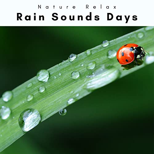 Feel Gentle Thunder Music