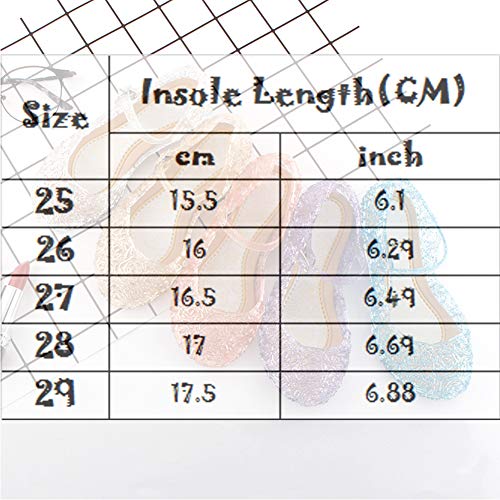 Frecoccialo Sandalias Princesa de Cristal PVC para niña Transparente gelatina con cuña Fiesta, Playa, Vacaciones, Cosplay, Carnaval, Fiesta de Princesa (Lila, 25)