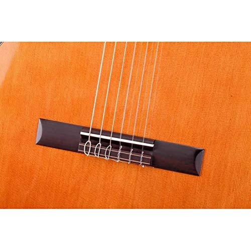 Guitarra Clásica MARTÍNEZ modelo ESPAÑA ES-04C Tapa de Cedro, edición BRILLO