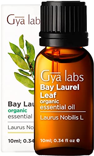 Gya Labs Aceite esencial orgánico de hoja de laurel de para el crecimiento del cabello, alivio del sueño, dolor muscular y cabello fino, 100 aceite puro de grado terapéutico para aromaterapia, 10 ml