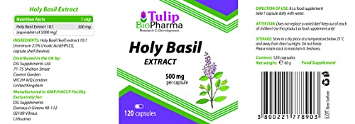 HOLY BASIL (ALBAHACA SANTA) Equivalente de 5000mg (500mg de extracto 10:1) 120 cápsulas, Alta potencia, sin gluten, sin OGM