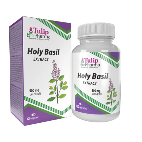 HOLY BASIL (ALBAHACA SANTA) Equivalente de 5000mg (500mg de extracto 10:1) 120 cápsulas, Alta potencia, sin gluten, sin OGM