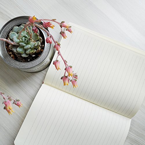 Inscripción de Huos Nombre Chino Personaje Huo Cuaderno Diario mas Jingling Bell
