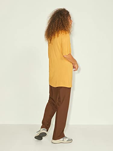 Jack & Jones JJXX JXDIANA SS Relaxed Grunge tee Noos Camiseta, Prairie Sand, S De Las Mujeres